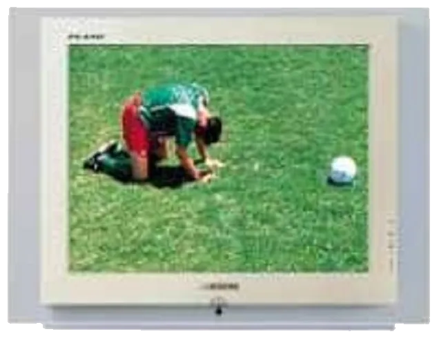 Восстановление после попадания влаги Samsung CS-29Z4HFQ