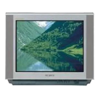 Восстановление после попадания влаги Samsung CS-25A6 WTQ