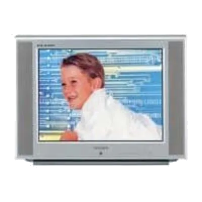 Восстановление после попадания влаги Samsung CS-29 A6MTR