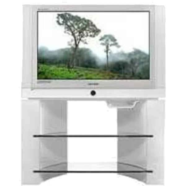 Восстановление после попадания влаги Samsung WS-32Z6HPQ