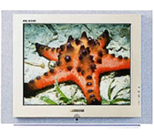 Восстановление после попадания влаги Samsung CS-29Z4HNQ