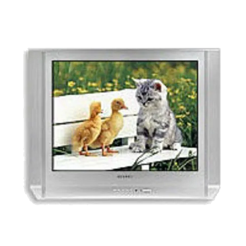 Восстановление после попадания влаги Samsung CS-29 V10 MGR