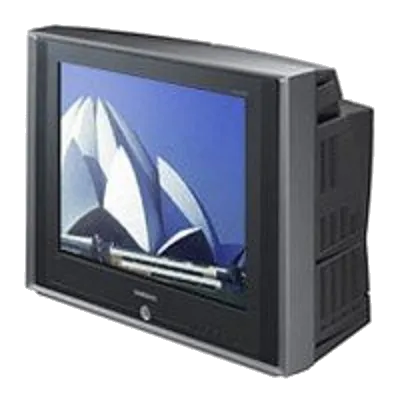 Восстановление после попадания влаги Samsung CS-21M21ZQQ