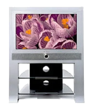 Восстановление после попадания влаги Samsung WS-32Z9HFQ