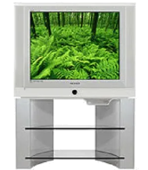 Восстановление после попадания влаги Samsung CS-34Z6 HPQ