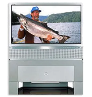 Восстановление после попадания влаги Samsung SP-42W5HFX